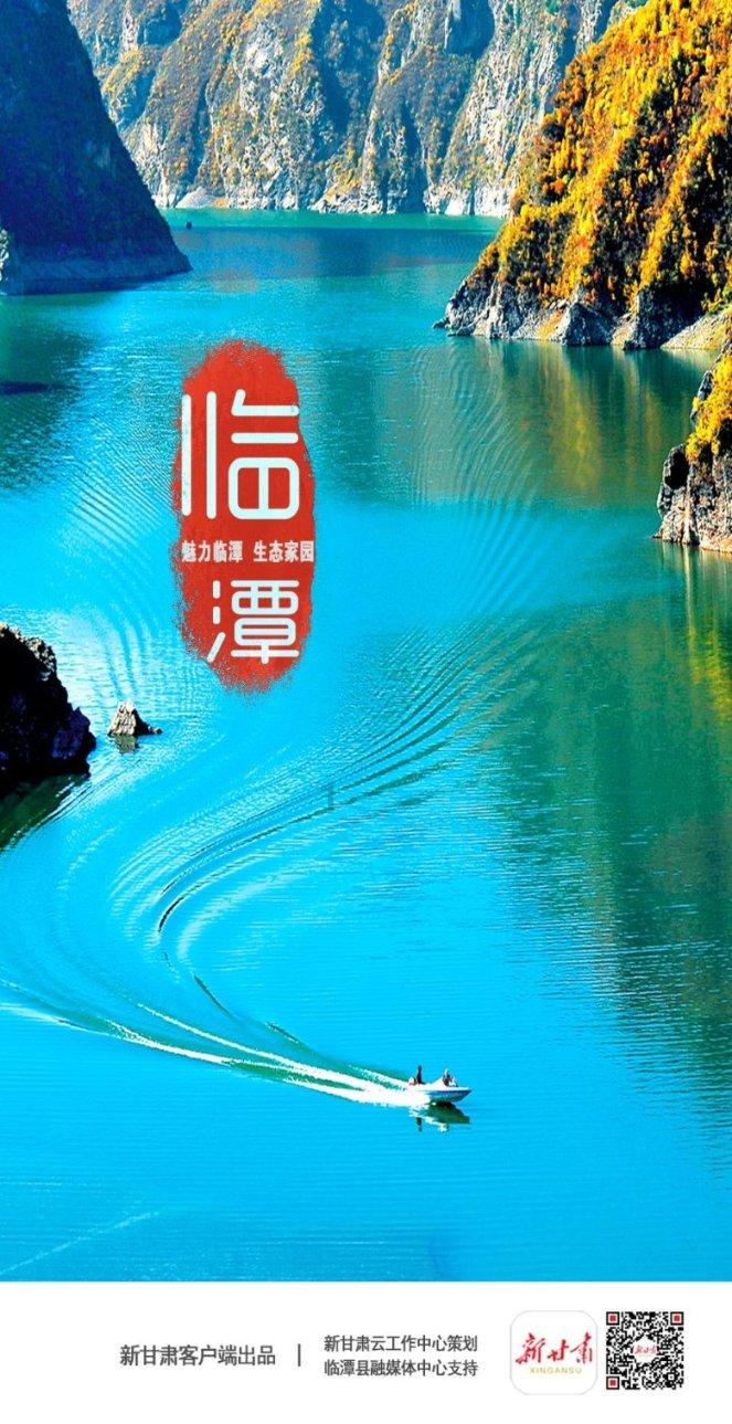 冷知识平台